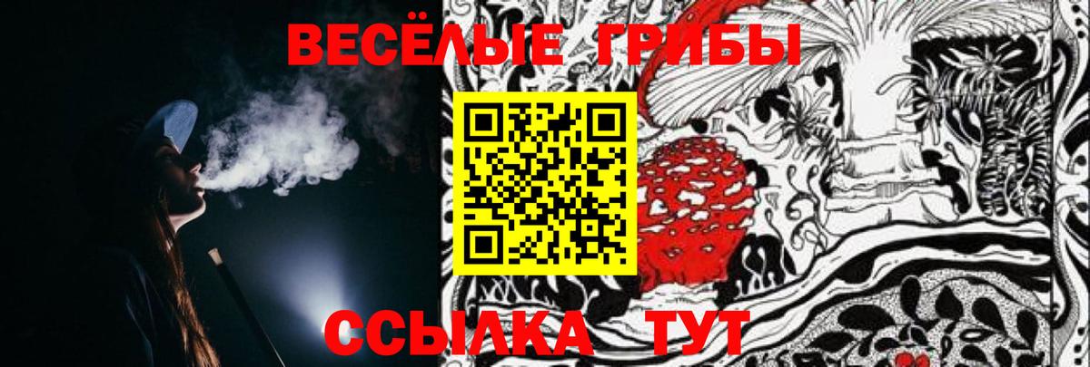Псилоцибиновые грибы Cubensis  Псилоцибиновые грибы MAGIC MUSHROOMS  Вход с VPN  купить наркотики сайты  Азов 